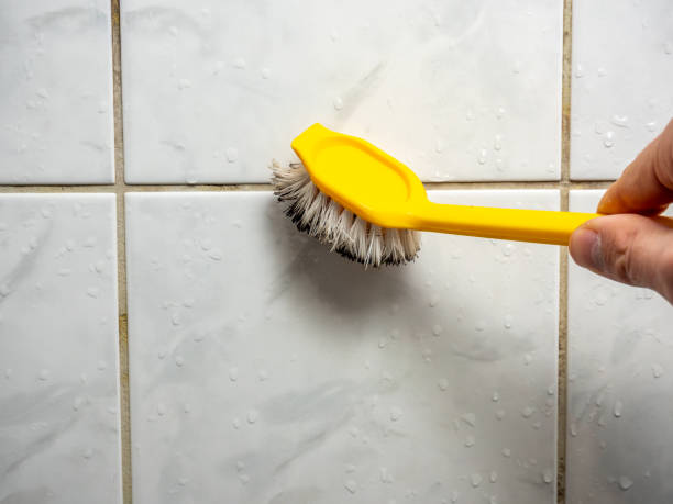Best Fast Mold Removal  in Ogden Dunes, IN